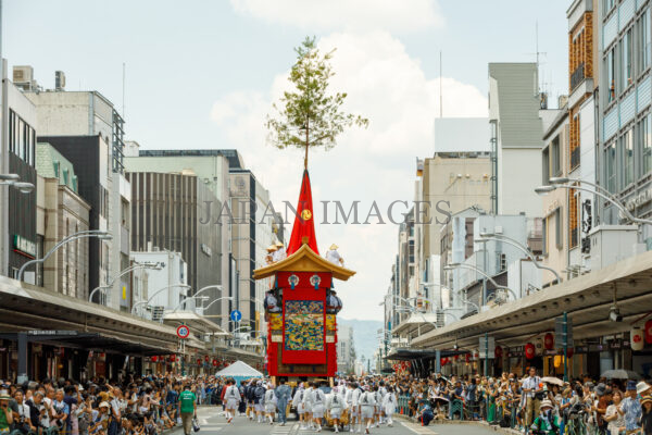 鷹山・後祭20250007